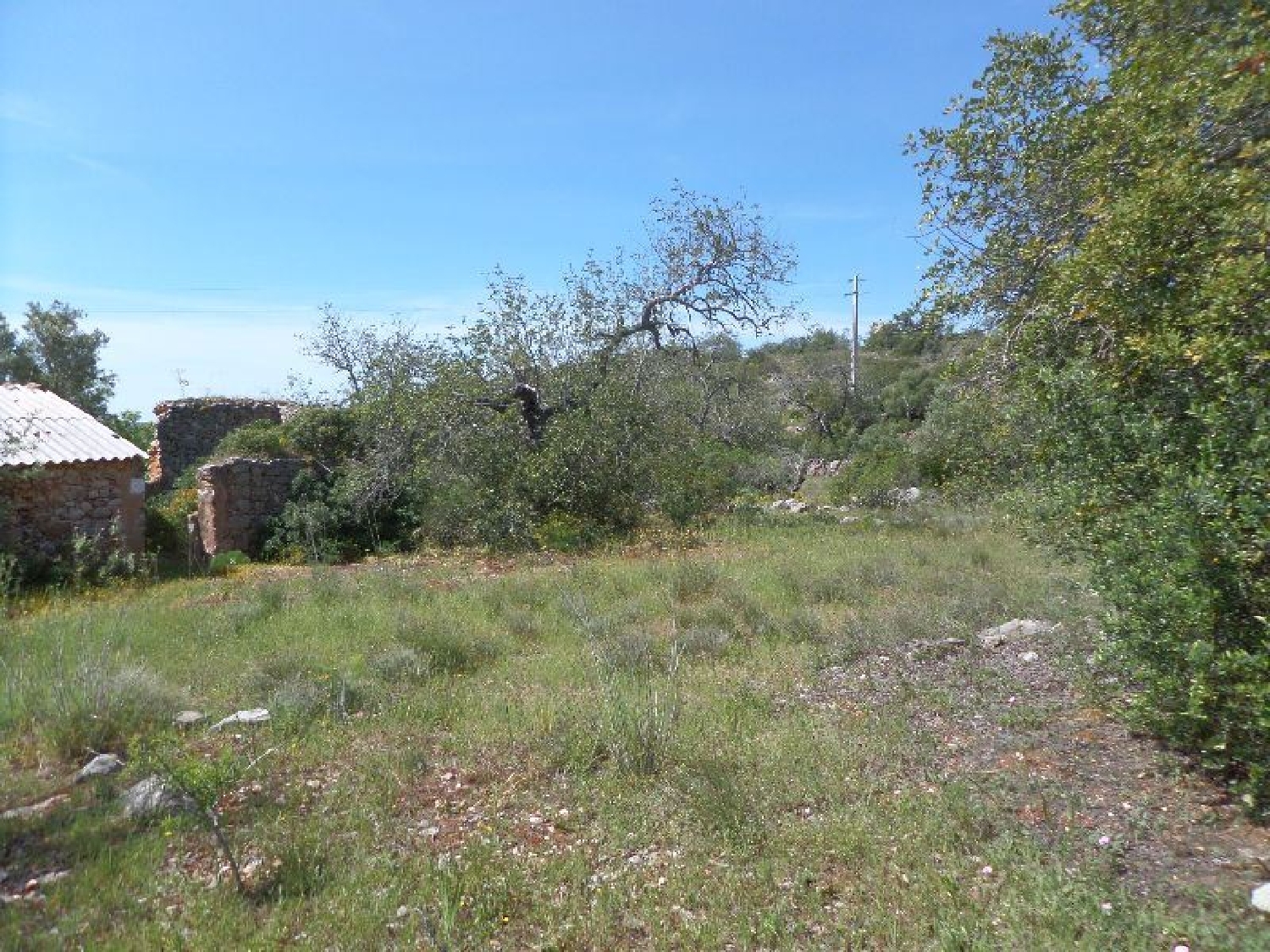 for sale terrain Salir Loulé 3
