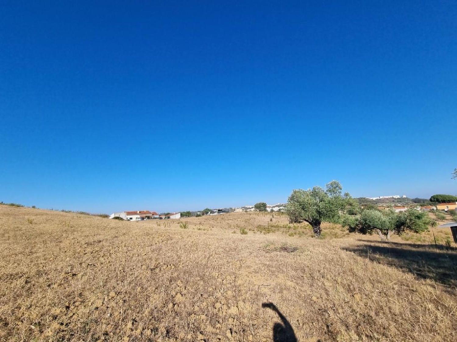 for sale terrain Salvador Chamusca 2