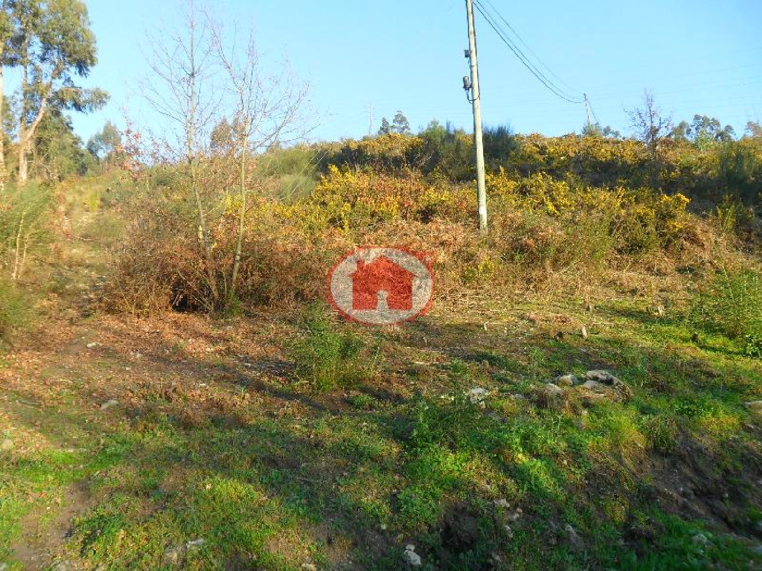  te koop terrein Santa Eulália Vizela 1
