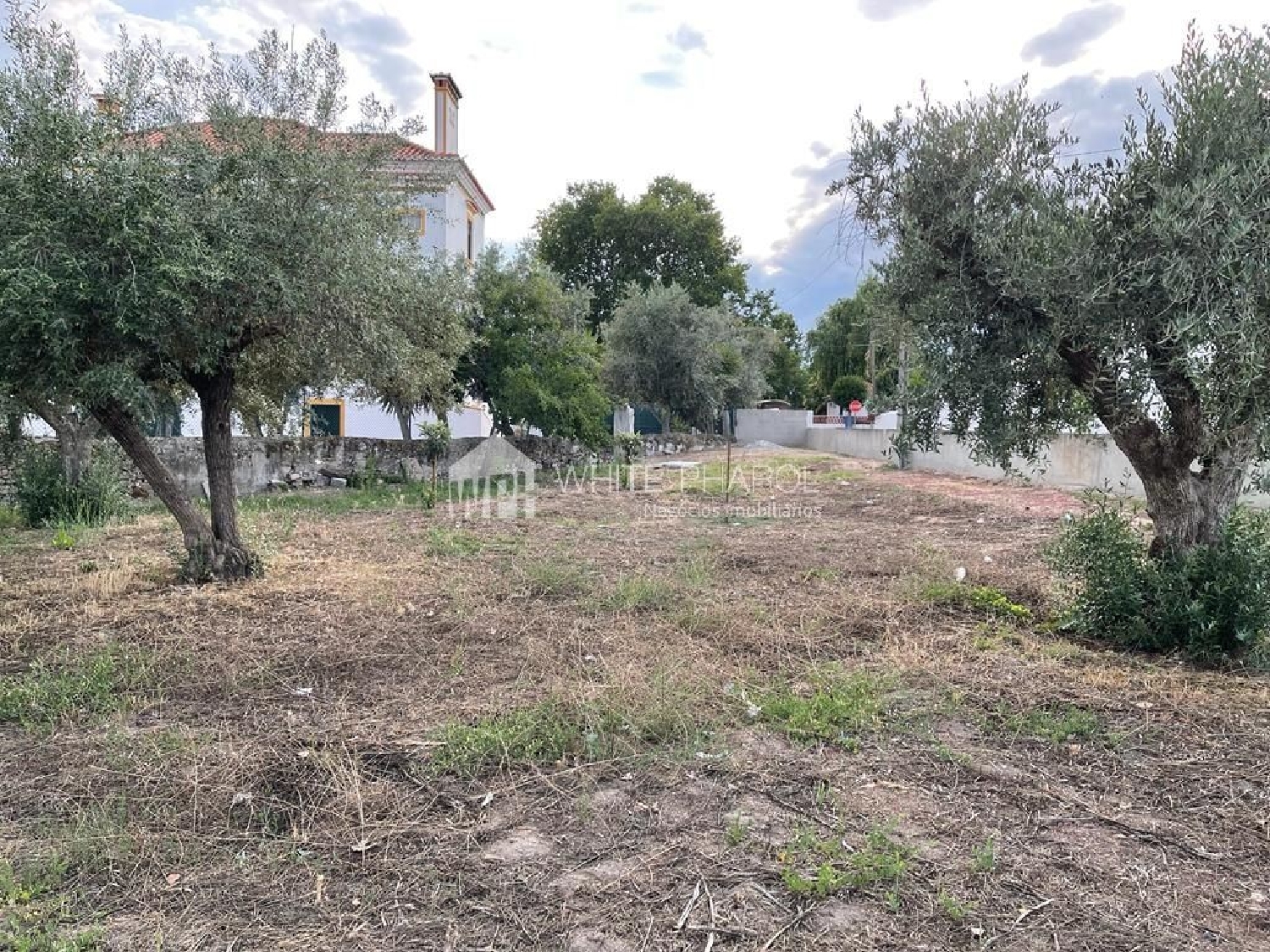  köpa tomt Santa Eulália Elvas 1