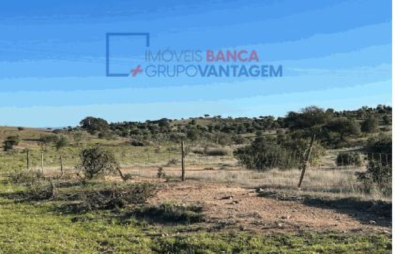  à venda terreno Santana de Cambas Mértola 2