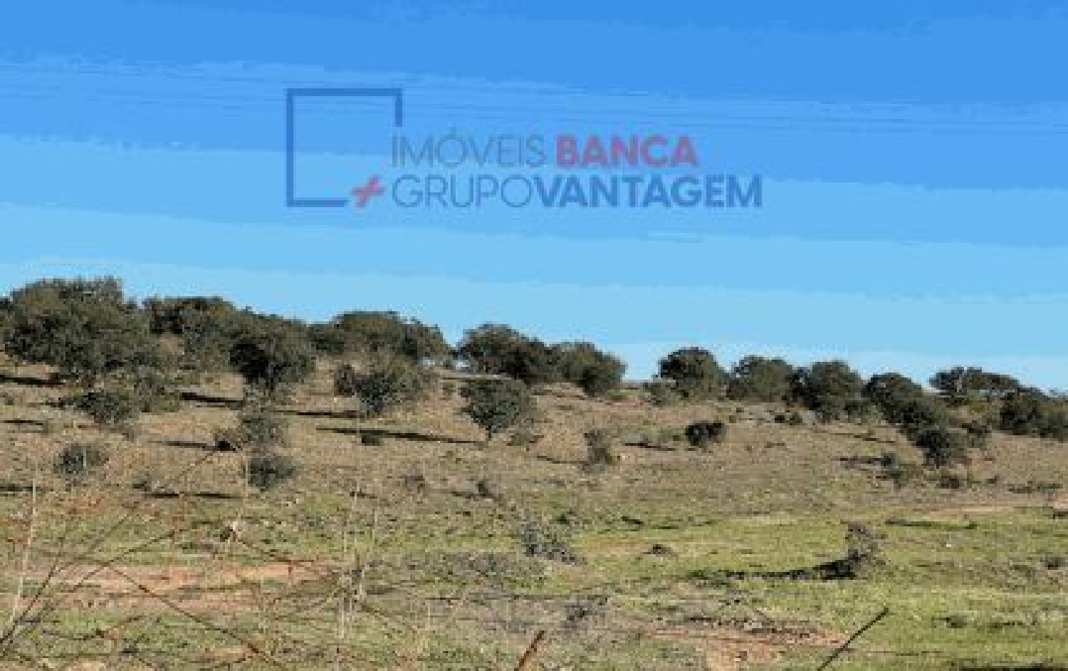  à venda terreno Santana de Cambas Mértola 3