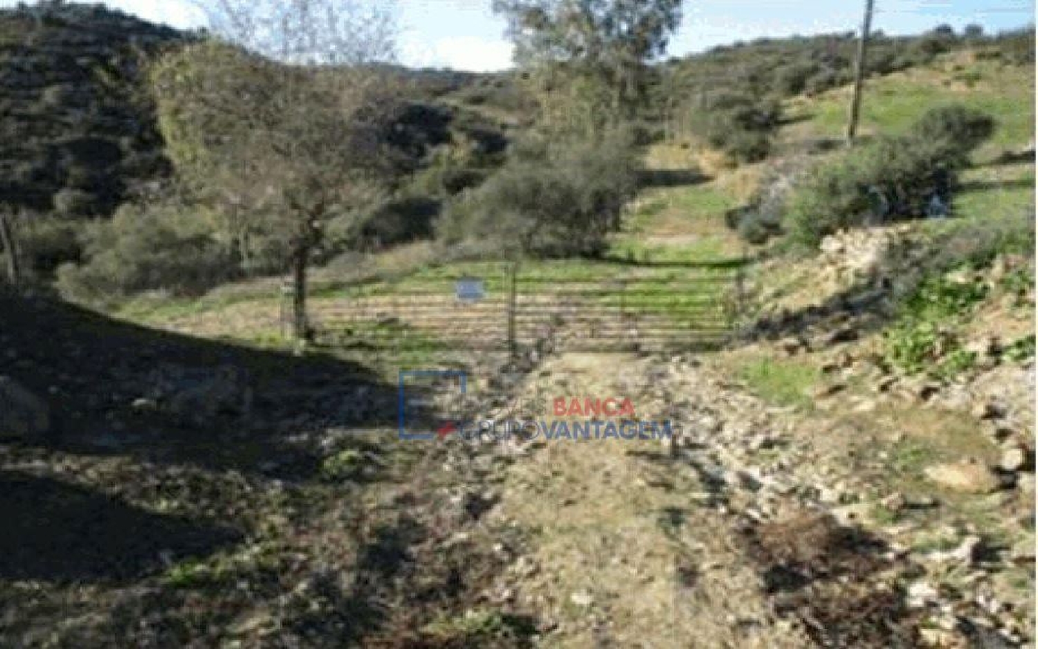  à venda terreno Santana de Cambas Mértola 1