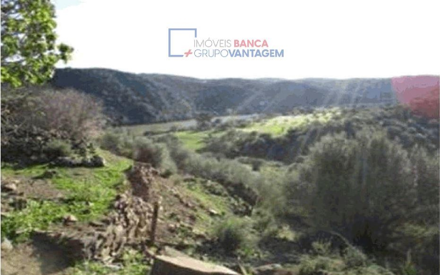 à venda terreno Santana de Cambas Mértola 2