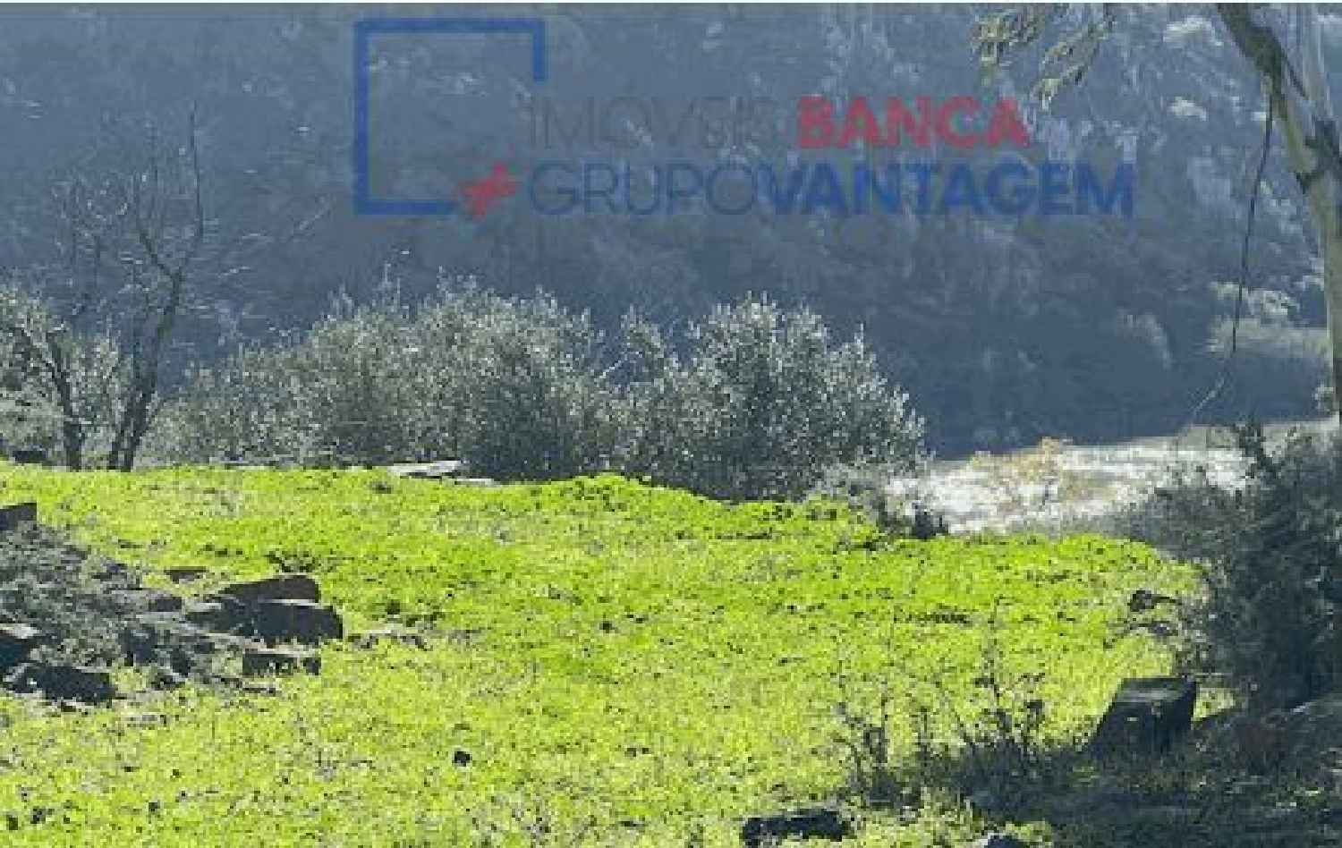  à venda terreno Santana de Cambas Mértola 1