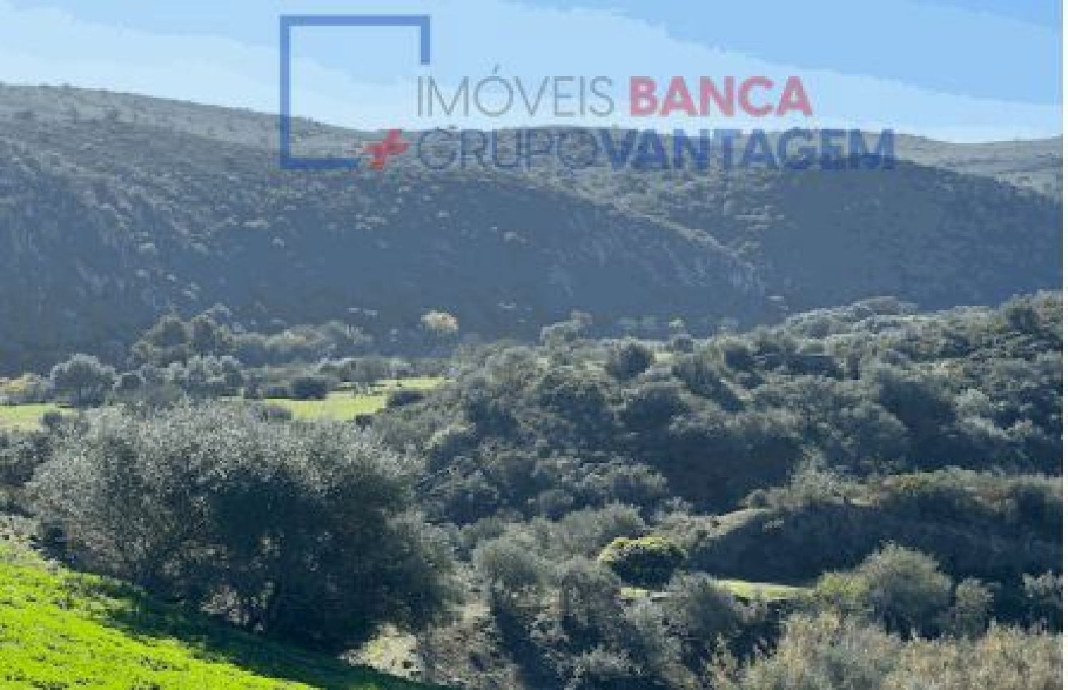 à venda terreno Santana de Cambas Mértola 3