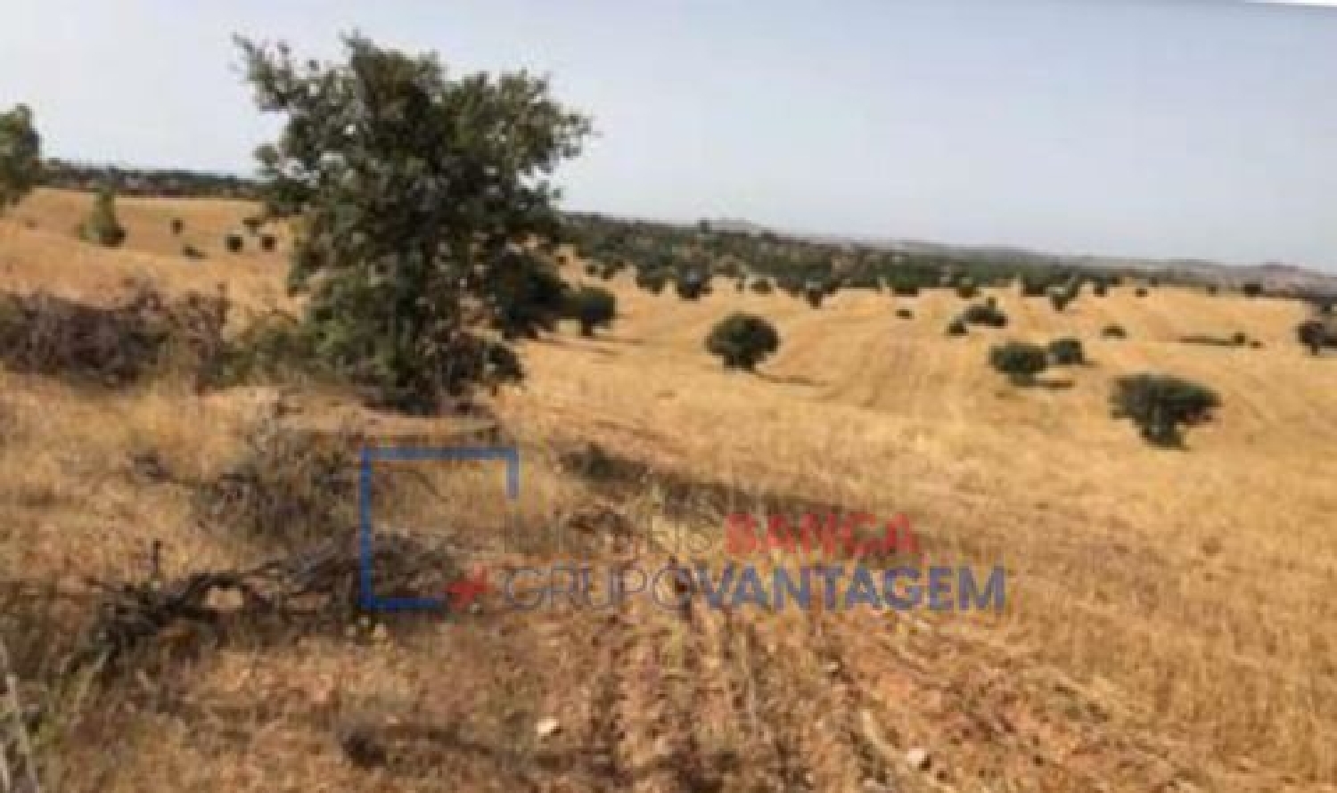  en venta terreno Santana de Cambas Mértola 1