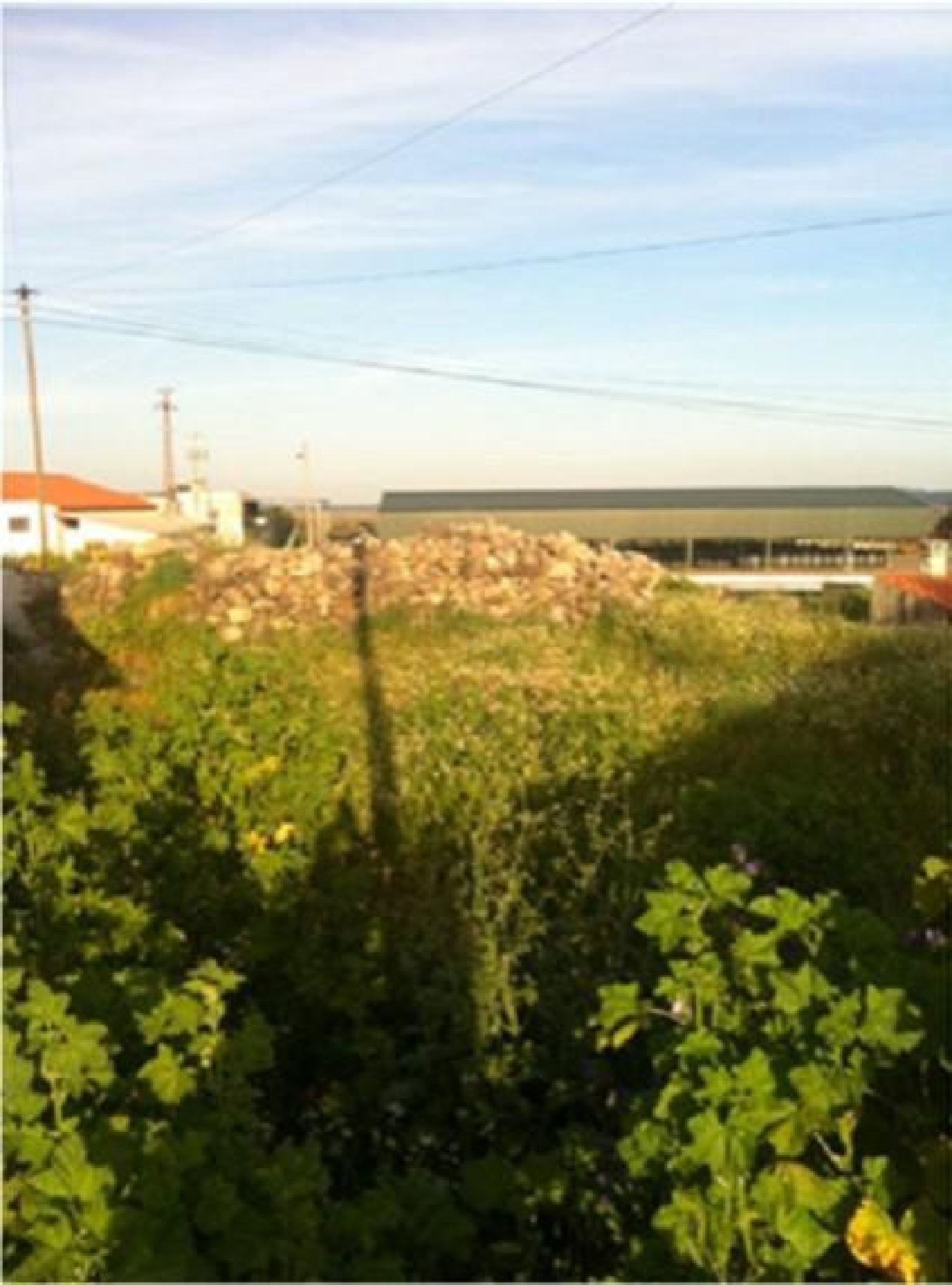  te koop terrein Santo António das Areias Marvão 1