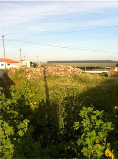 Santo António das Areias Marvão terrein foto 324525