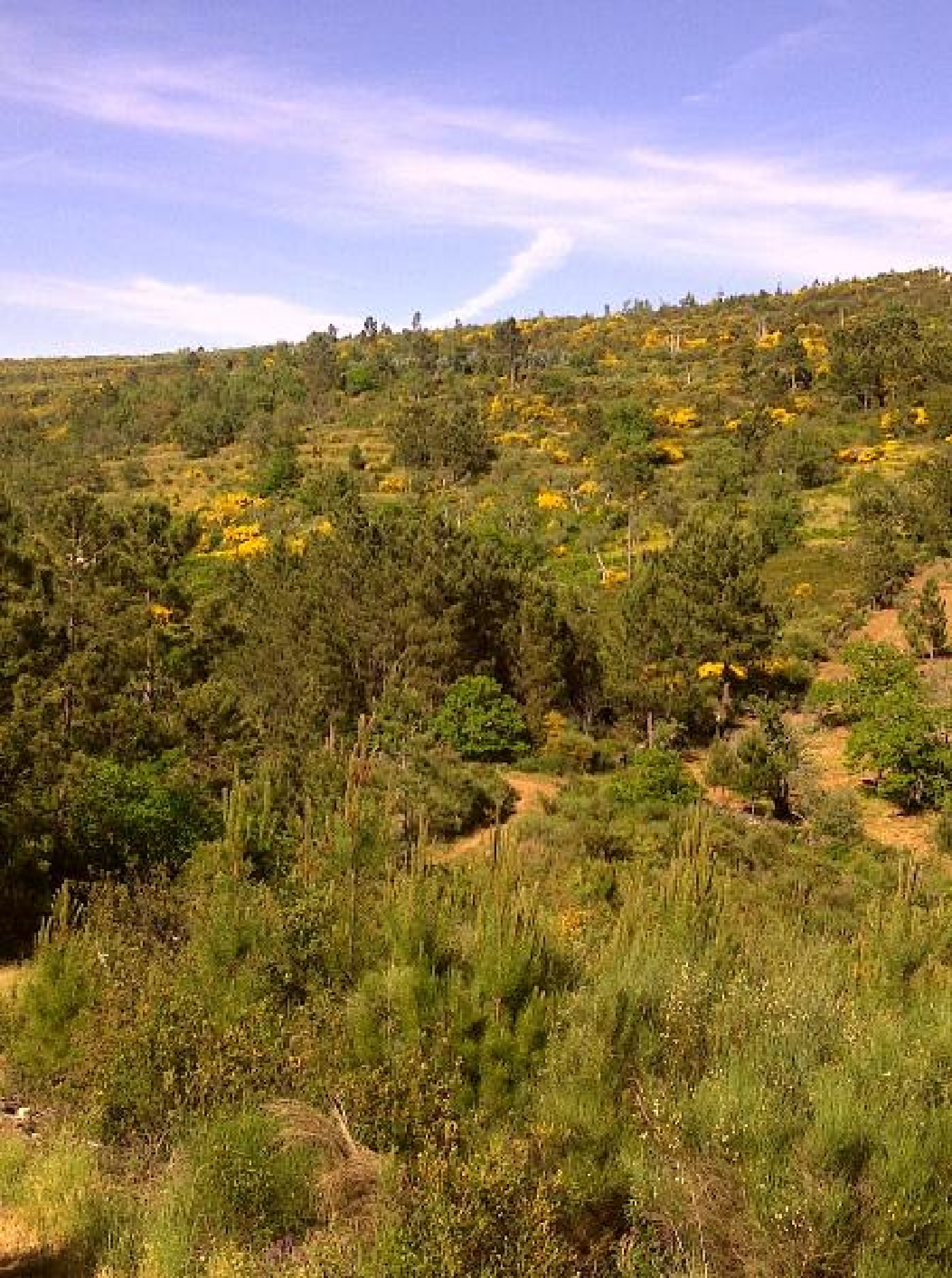  te koop terrein Santo António das Areias Marvão 1