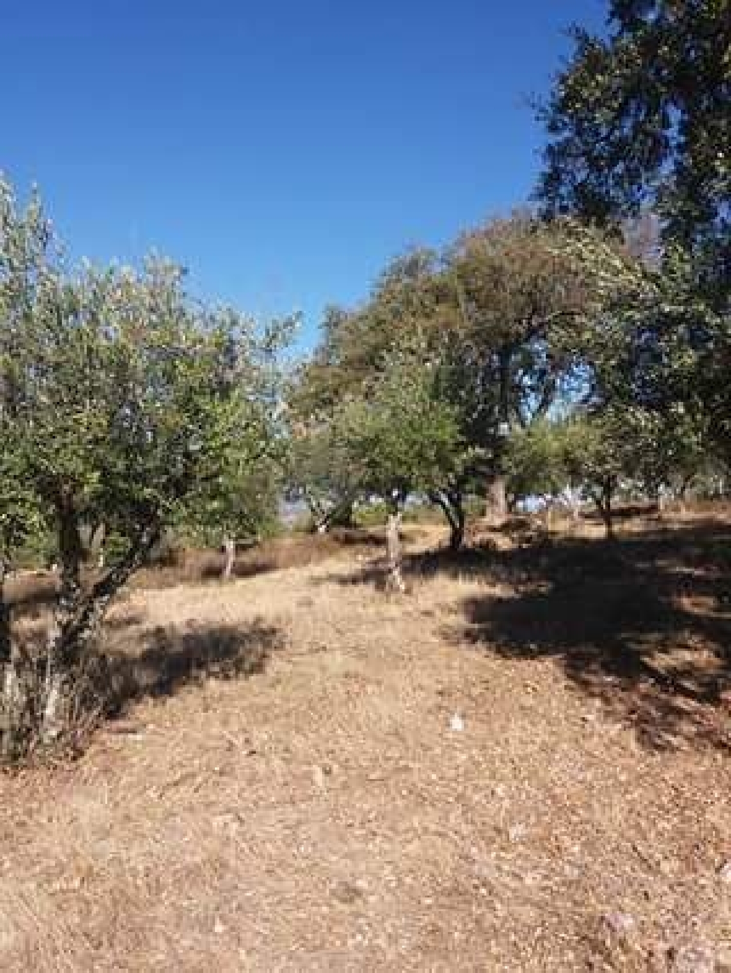  te koop terrein Santo António das Areias Marvão 1