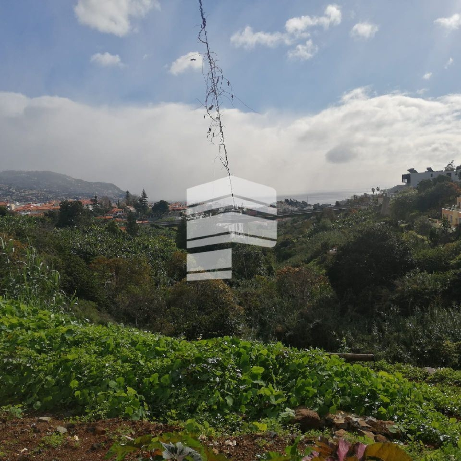  for sale terrain Santo Antonio Manteigas 1