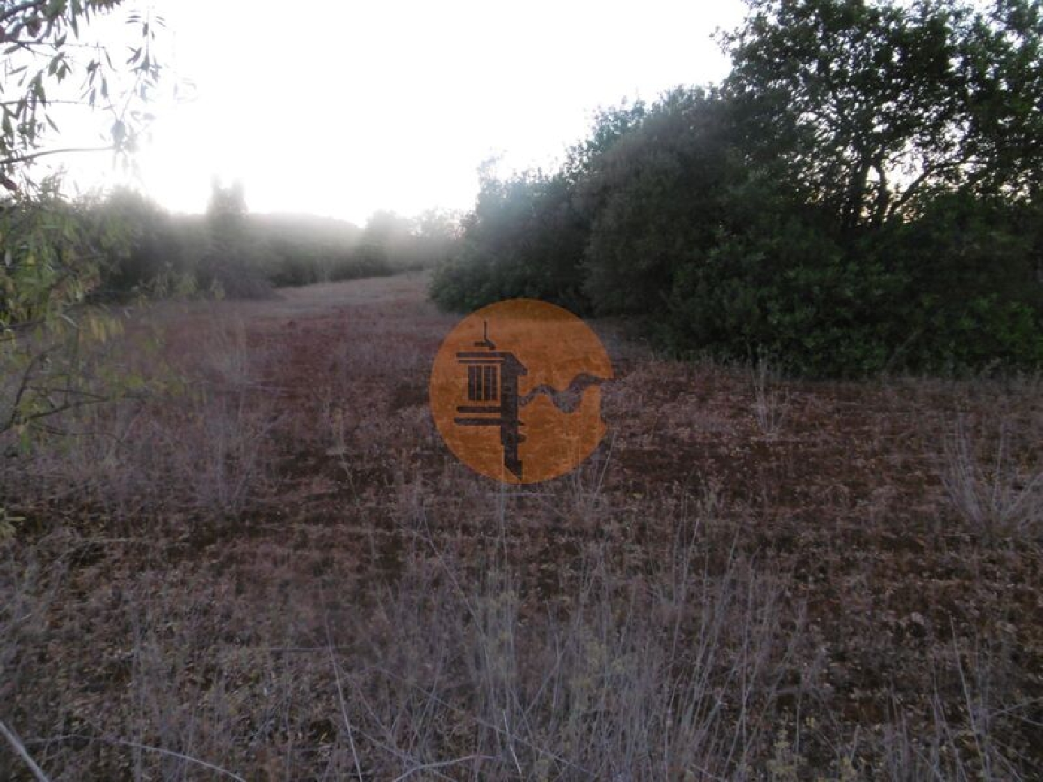  te koop terrein São Bartolomeu de Messines Silves 1