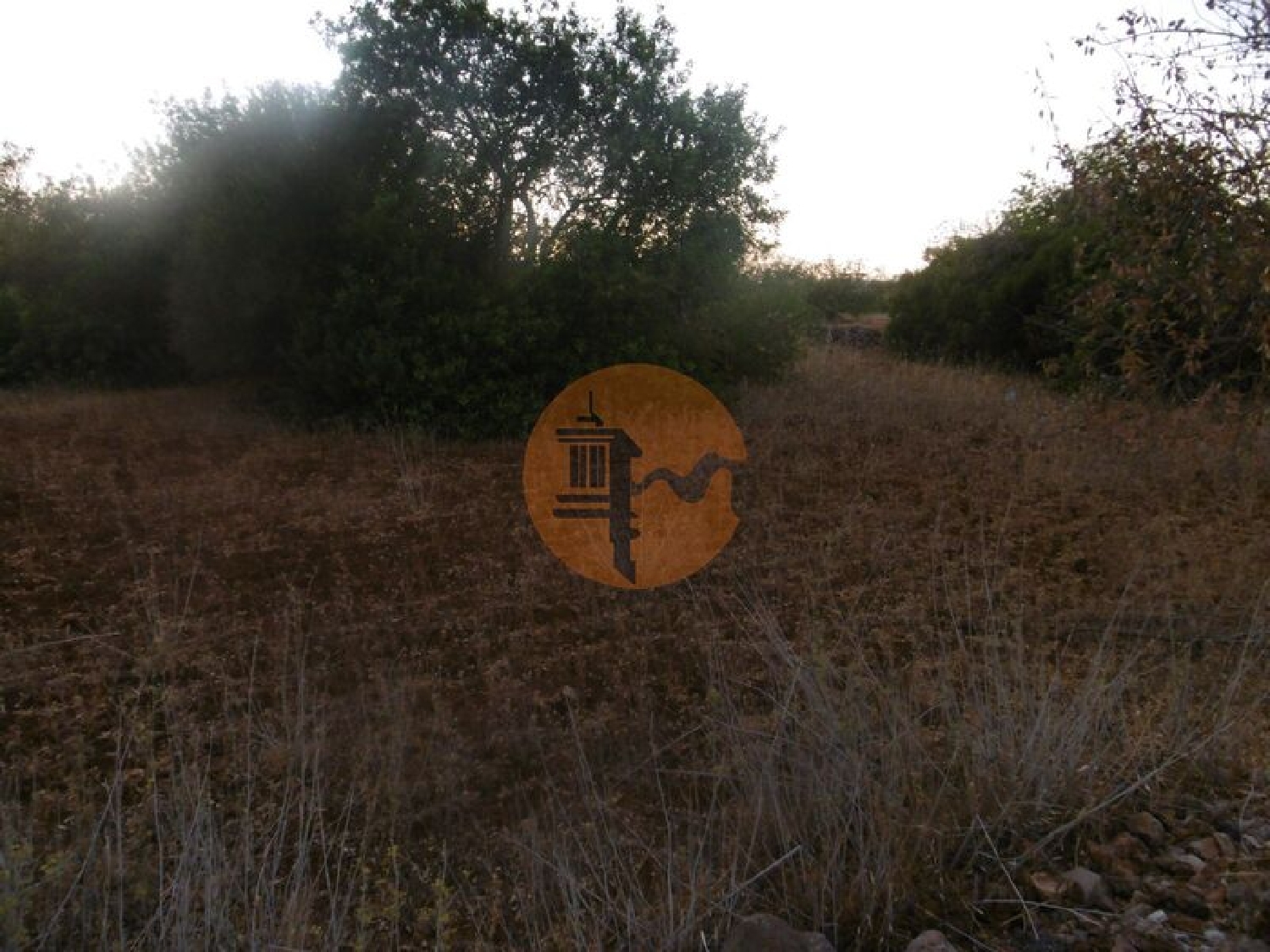 te koop terrein São Bartolomeu de Messines Silves 2