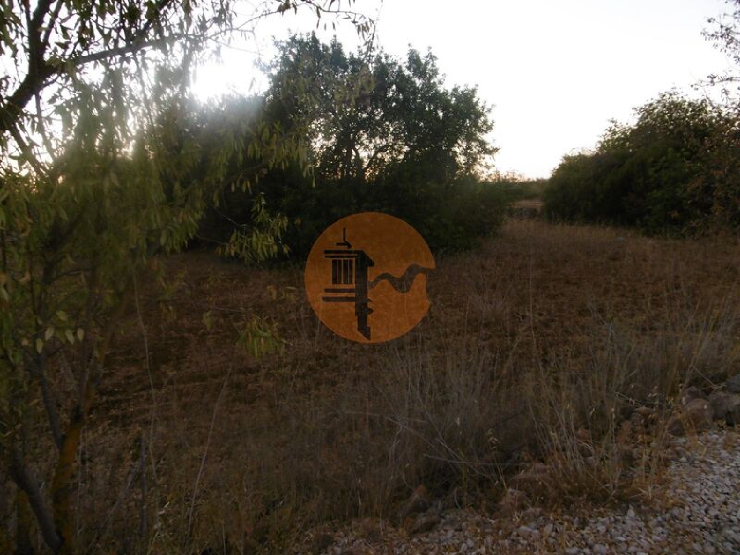 te koop terrein São Bartolomeu de Messines Silves 3