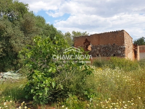 São Bartolomeu de Messines Silves terrein foto 321942