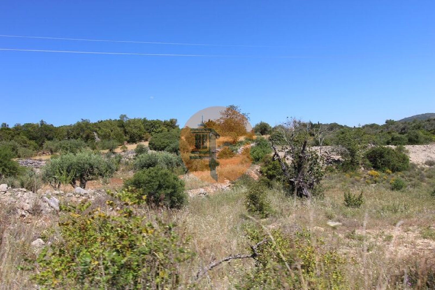  à venda terreno São Brás de Alportel São Brás De Alportel 7