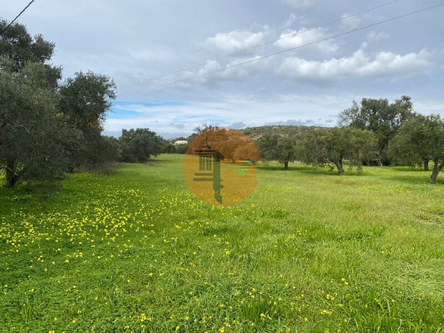  te koop terrein São Brás de Alportel São Brás De Alportel 1