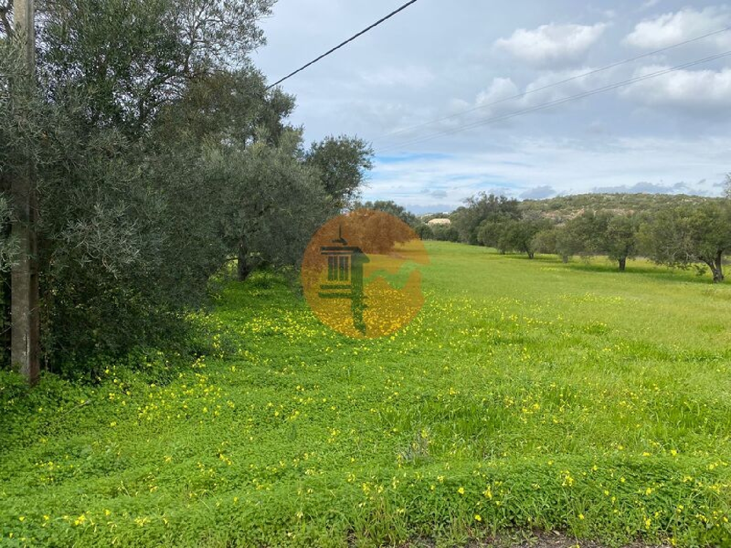 te koop terrein São Brás de Alportel São Brás De Alportel 3