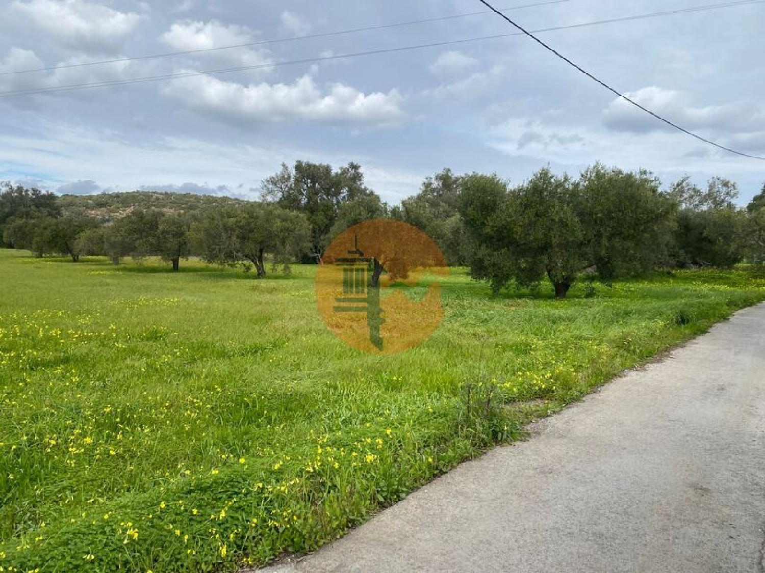  te koop terrein São Brás de Alportel São Brás De Alportel 4