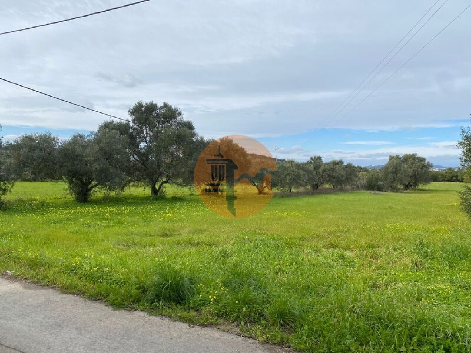  te koop terrein São Brás de Alportel São Brás De Alportel 5
