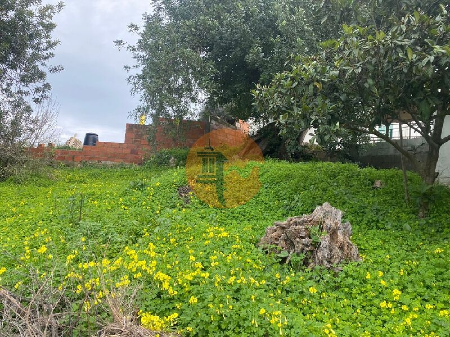 te koop terrein São Brás de Alportel São Brás De Alportel 3