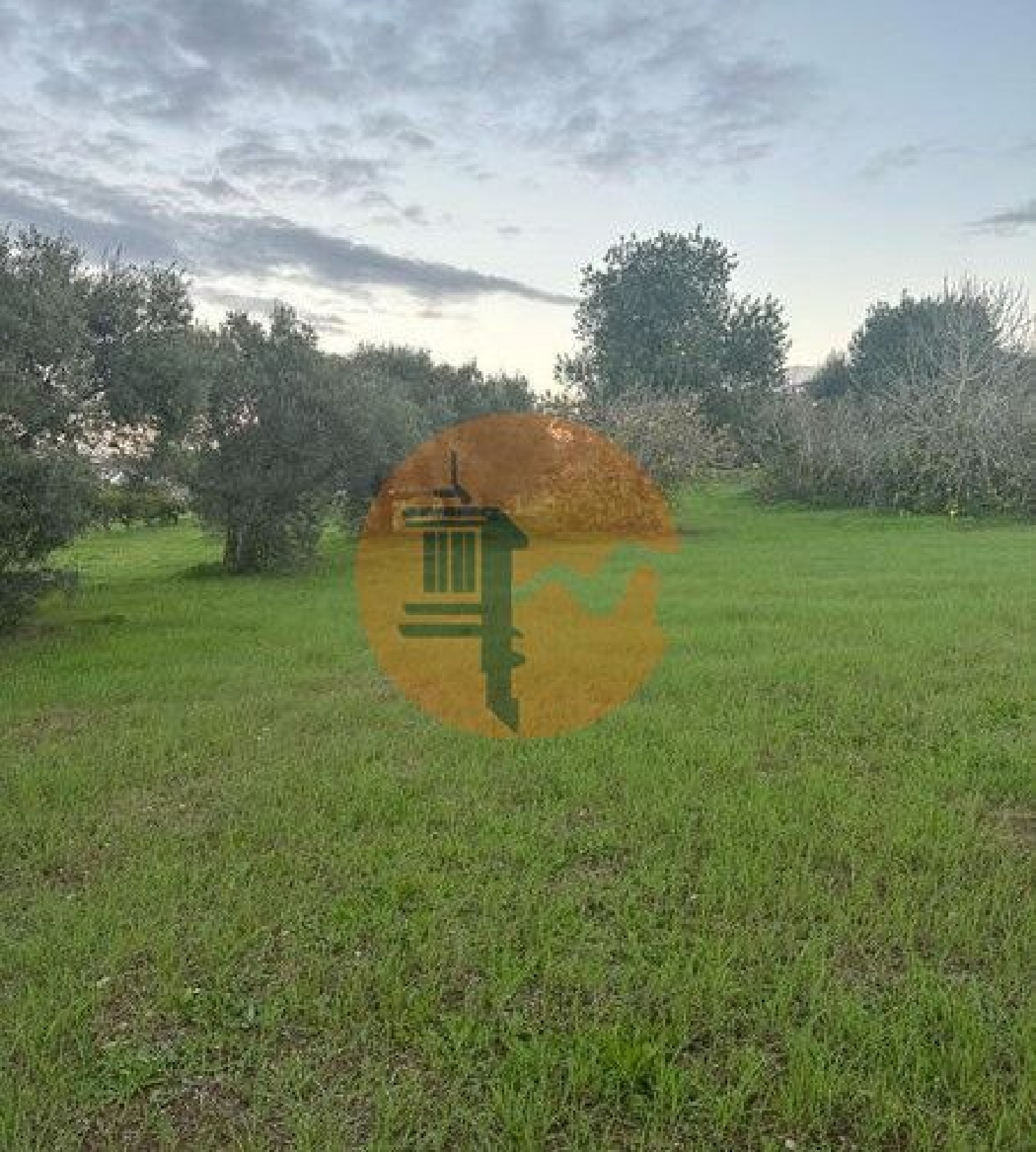  te koop terrein São Brás de Alportel São Brás De Alportel 4