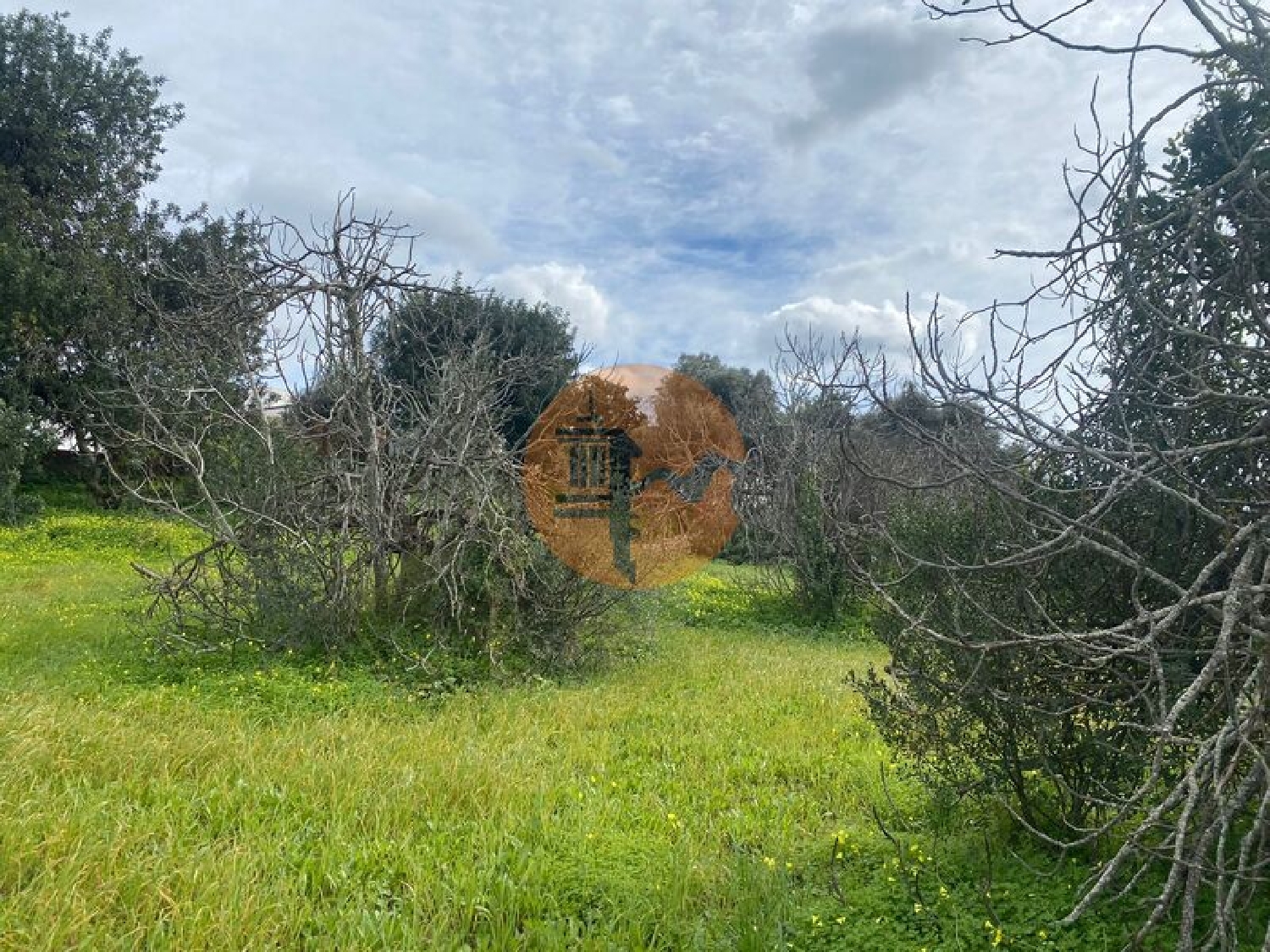  te koop terrein São Brás de Alportel São Brás De Alportel 5