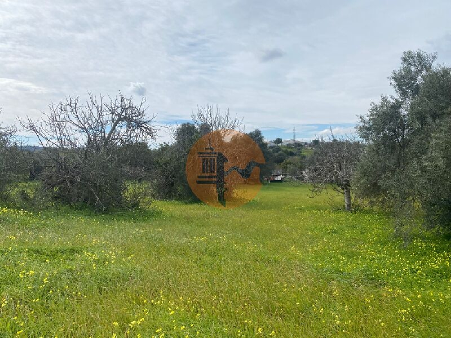 te koop terrein São Brás de Alportel São Brás De Alportel 6