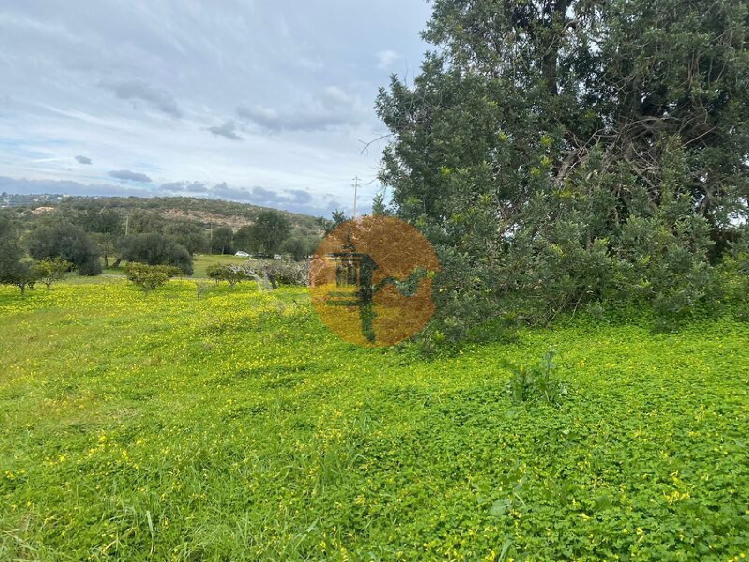  te koop terrein São Brás de Alportel São Brás De Alportel 7