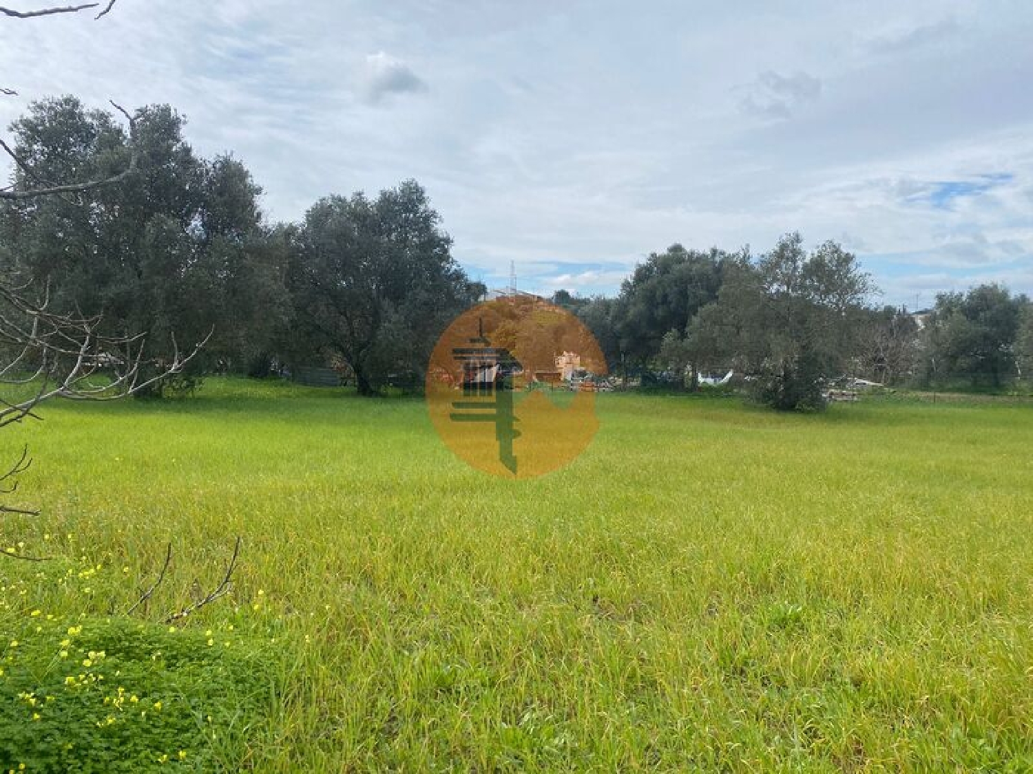  te koop terrein São Brás de Alportel São Brás De Alportel 8