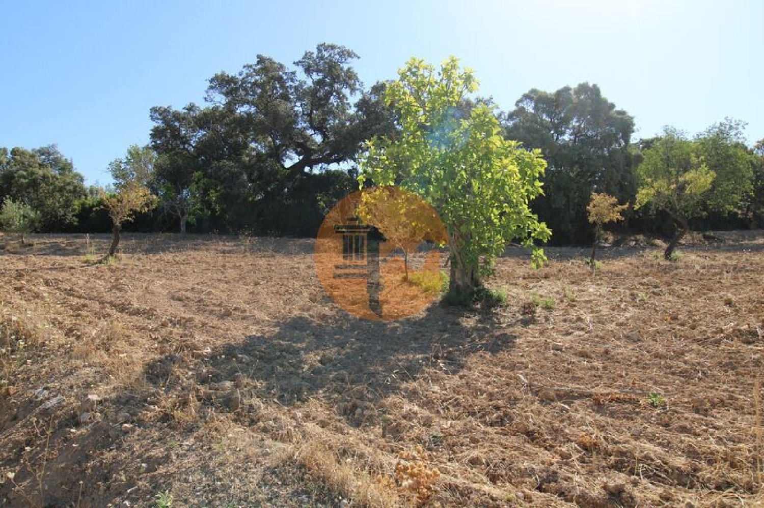 te koop terrein São Brás de Alportel São Brás De Alportel 2