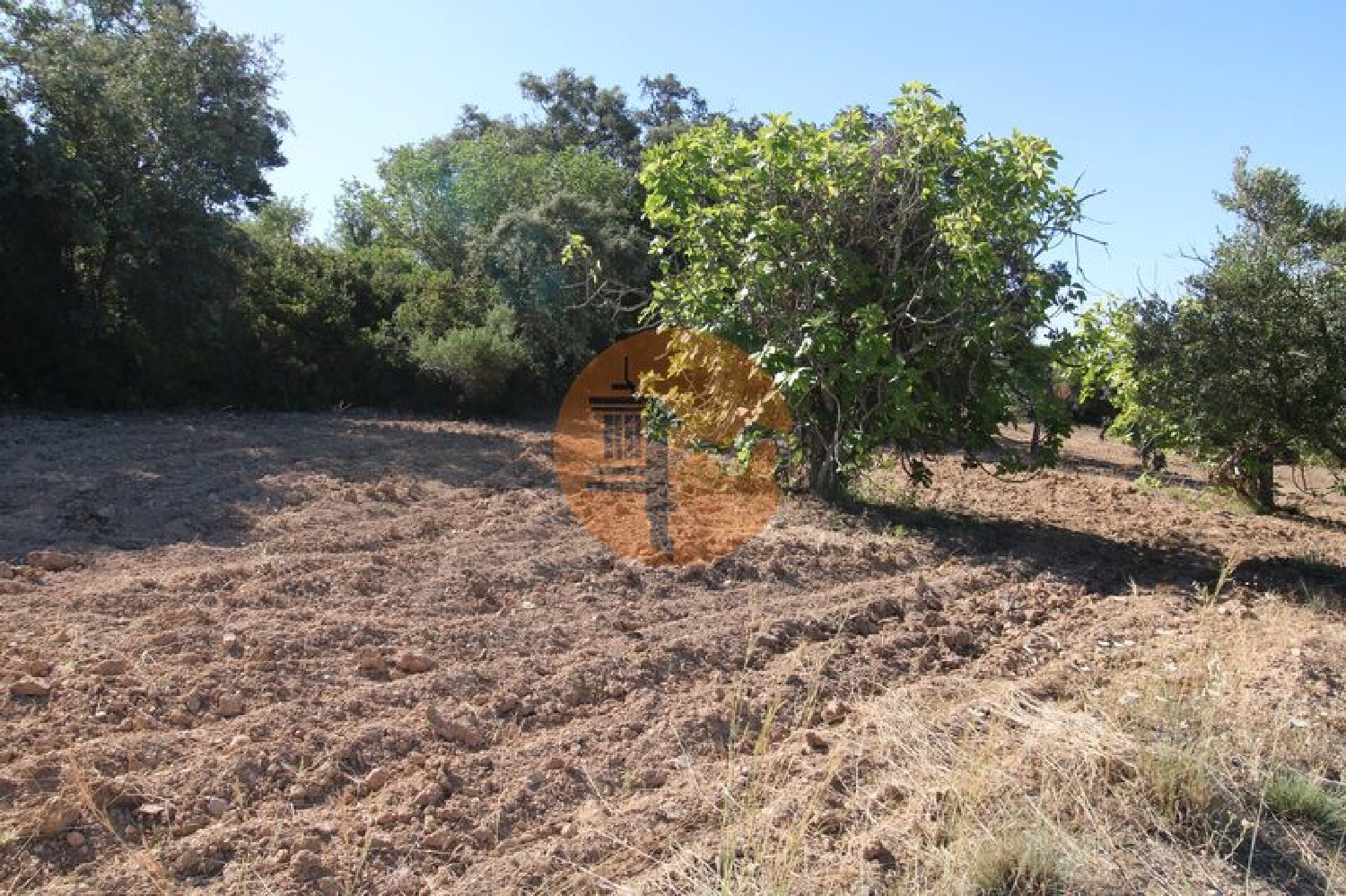 te koop terrein São Brás de Alportel São Brás De Alportel 3