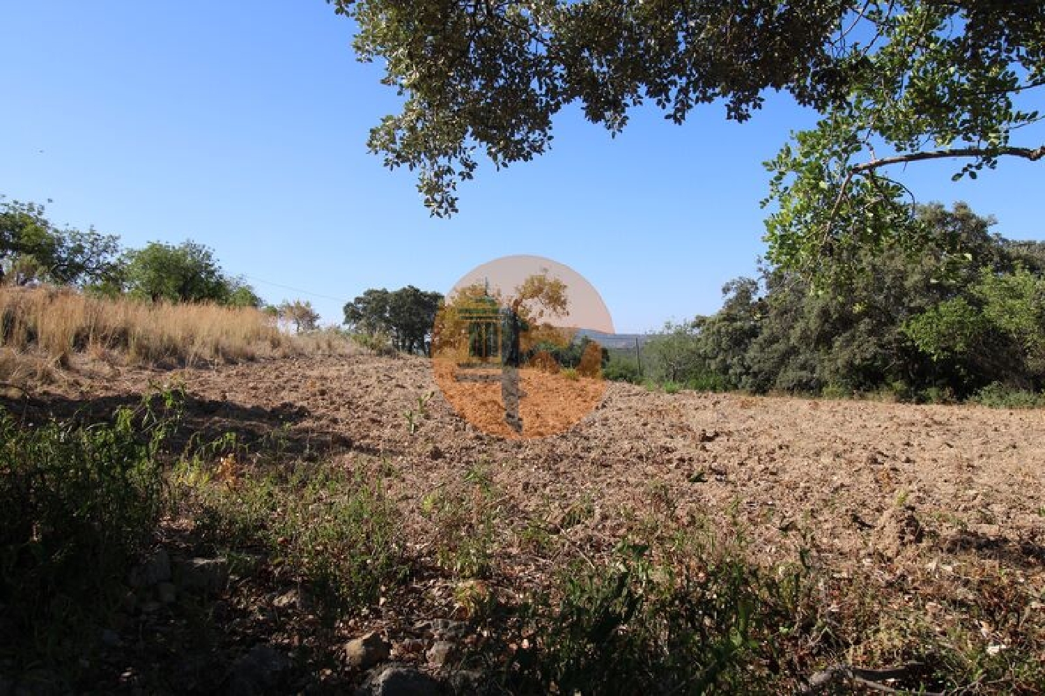  te koop terrein São Brás de Alportel São Brás De Alportel 4