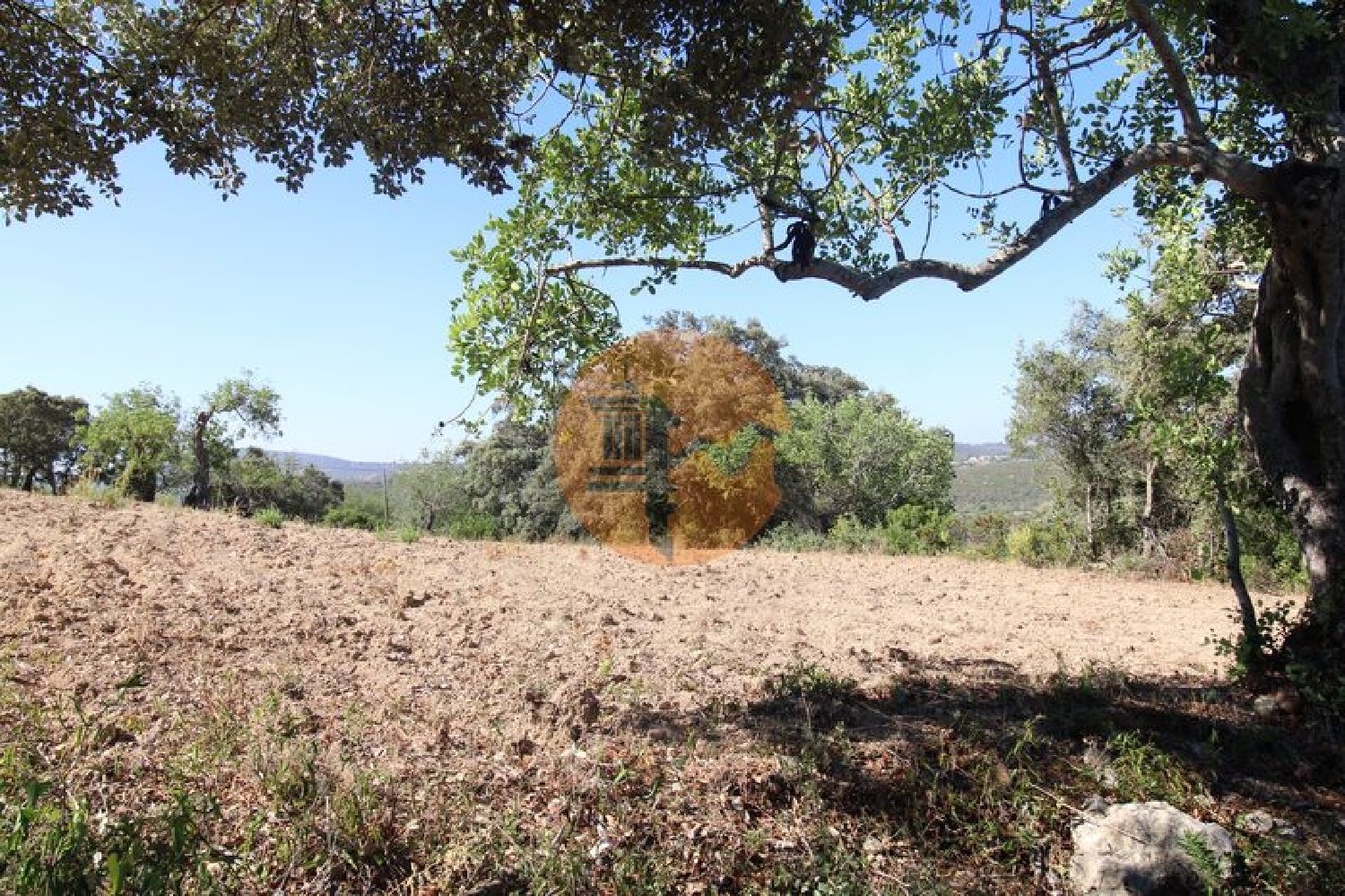  te koop terrein São Brás de Alportel São Brás De Alportel 5