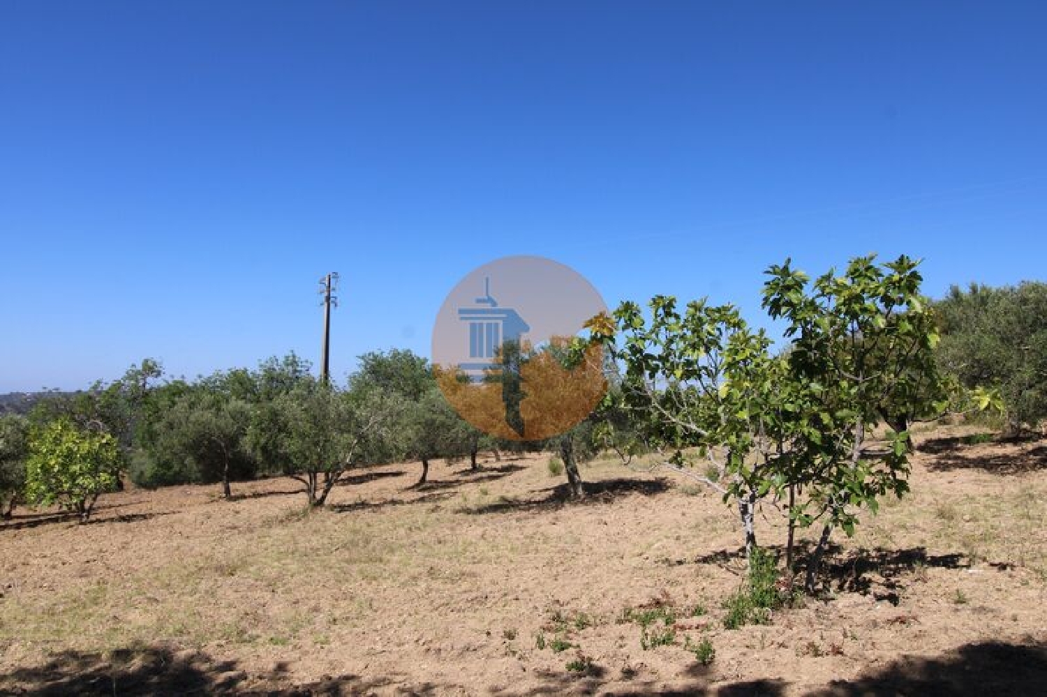  te koop terrein São Brás de Alportel São Brás De Alportel 5
