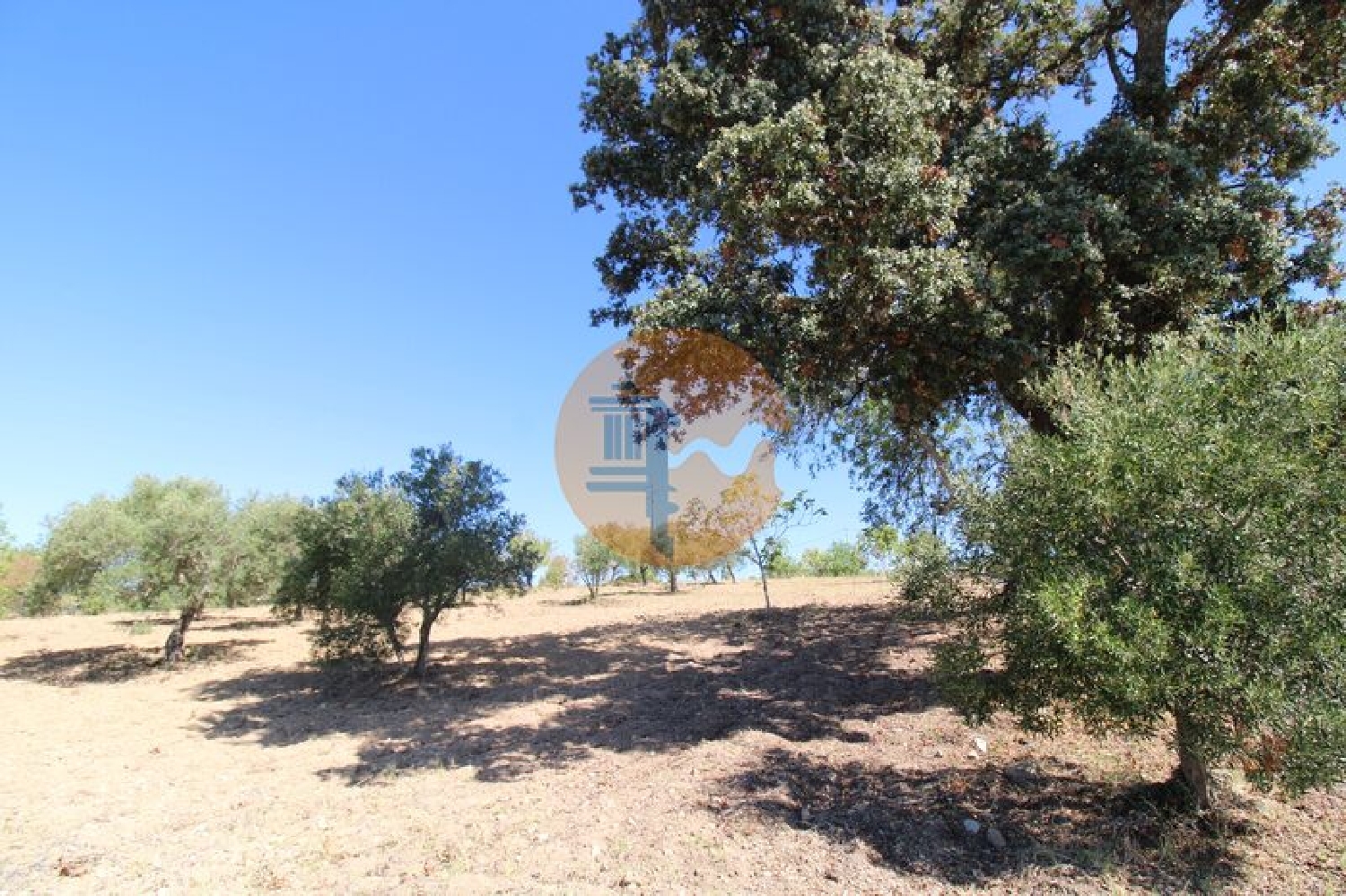  te koop terrein São Brás de Alportel São Brás De Alportel 7