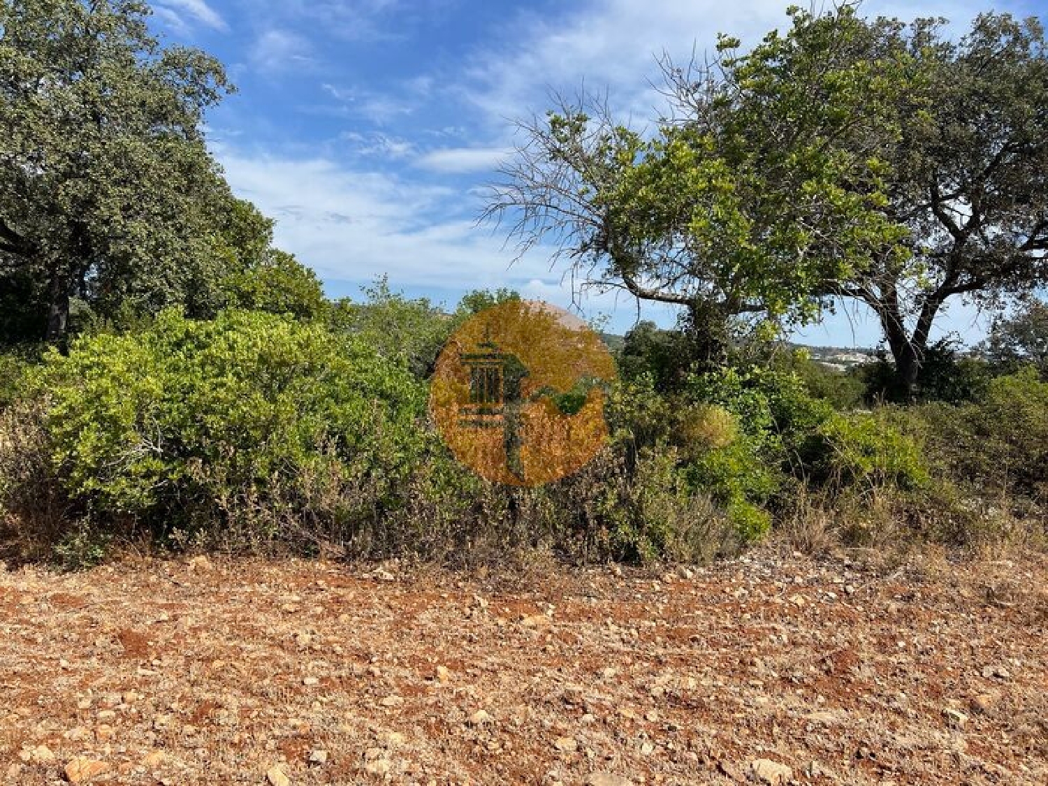  te koop terrein São Brás de Alportel São Brás De Alportel 4