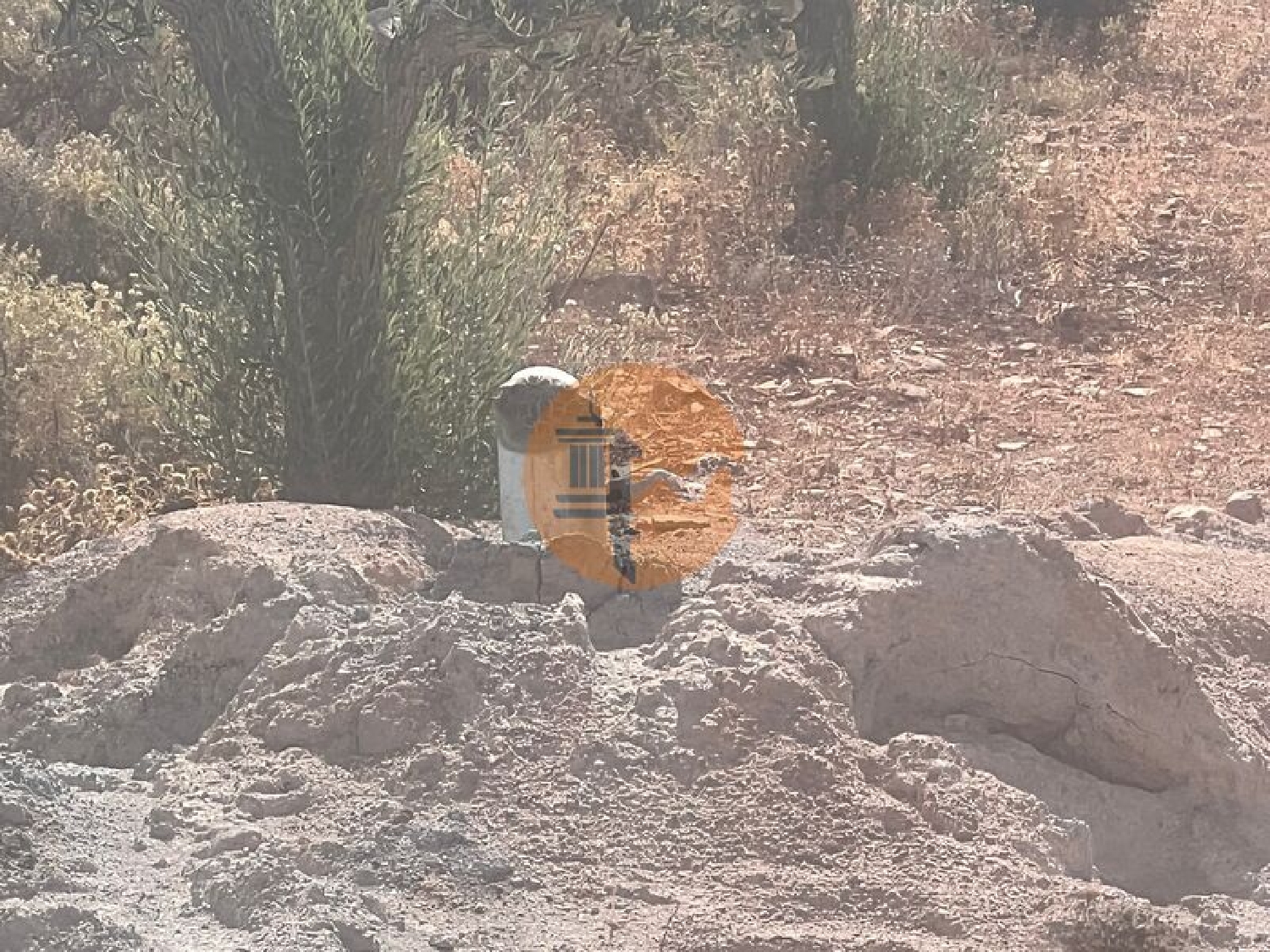  te koop terrein São Brás de Alportel São Brás De Alportel 7