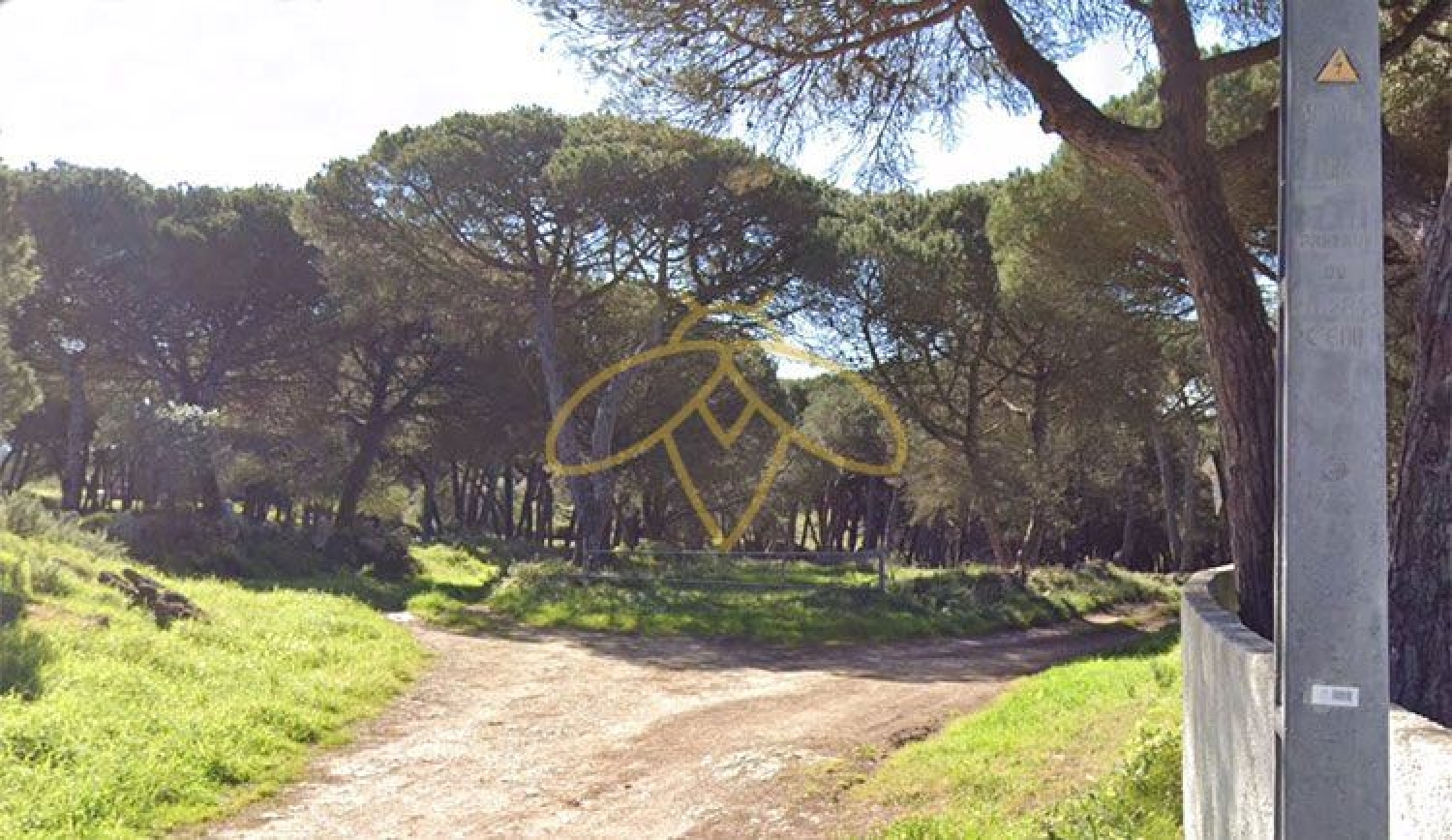 en venta terreno São João das Lampas Sintra 2