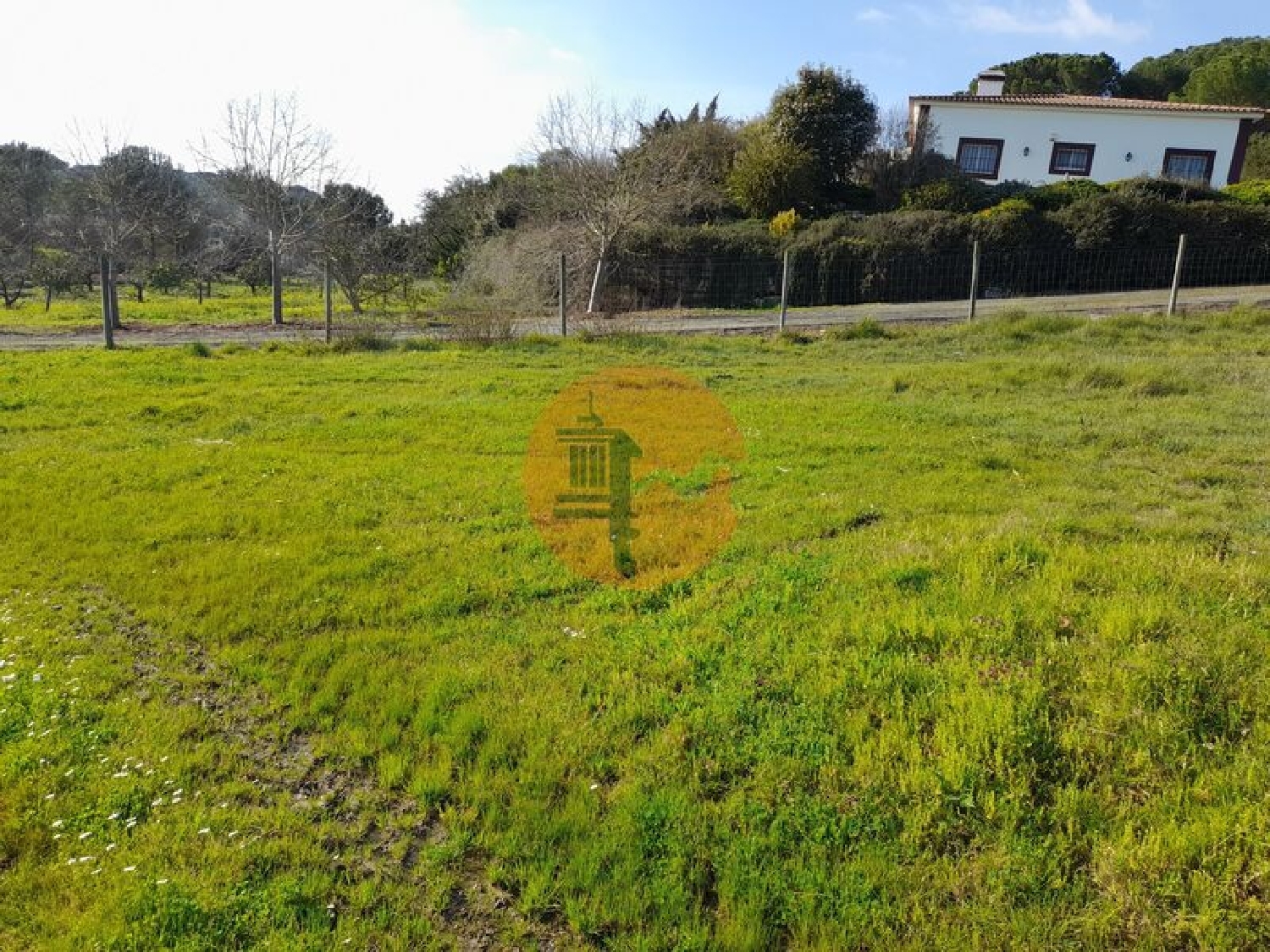  à venda terreno São João Alpiarça 2