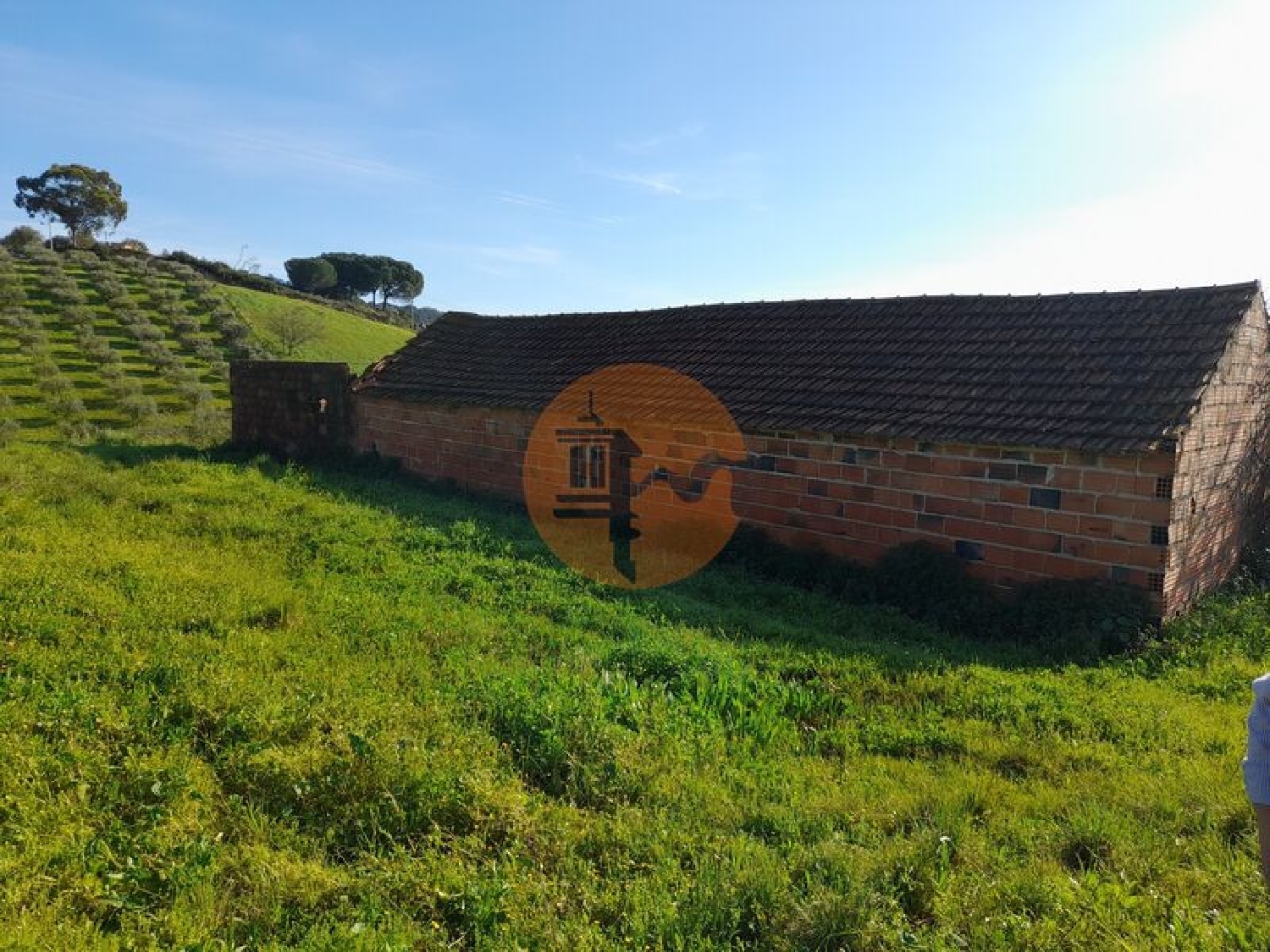  à venda terreno São João Alpiarça 5