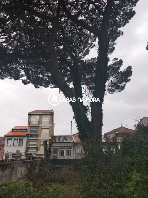São Mamede de Infesta Matosinhos tomt foto 317270
