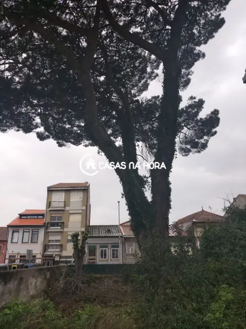 São Mamede de Infesta Matosinhos terreno foto 318150