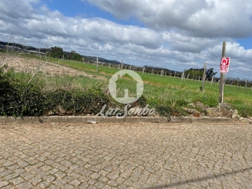São Martinho Bougado Trofa terrein foto 320697