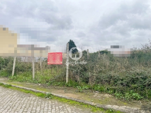 São Martinho Bougado Trofa terrein foto 321106