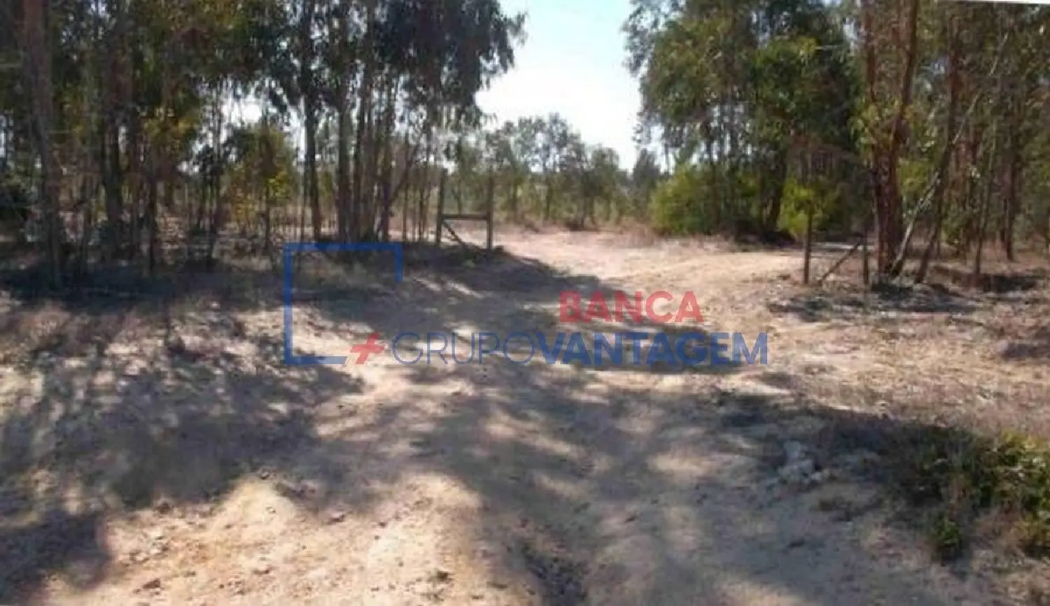  à venda terreno São Teotónio Odemira 2