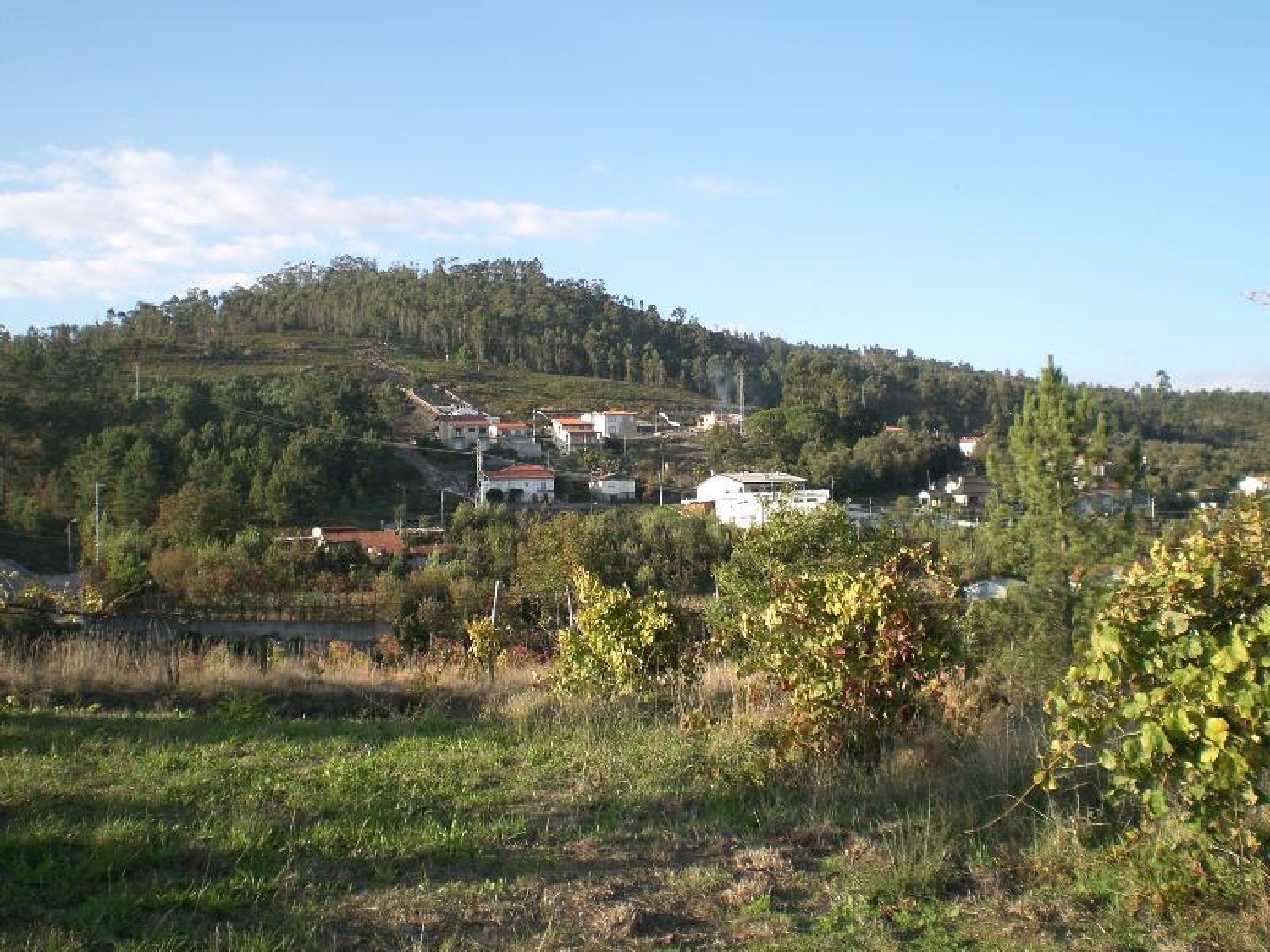for sale terrain São Torcato Guimarães 3