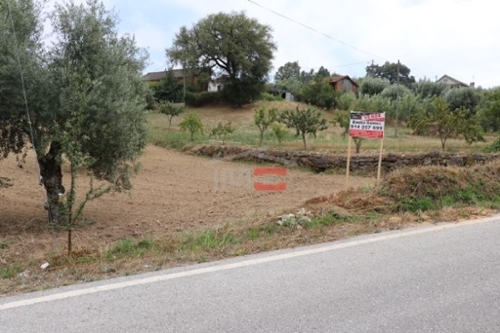Seiça Ourém 土地 foto 326355