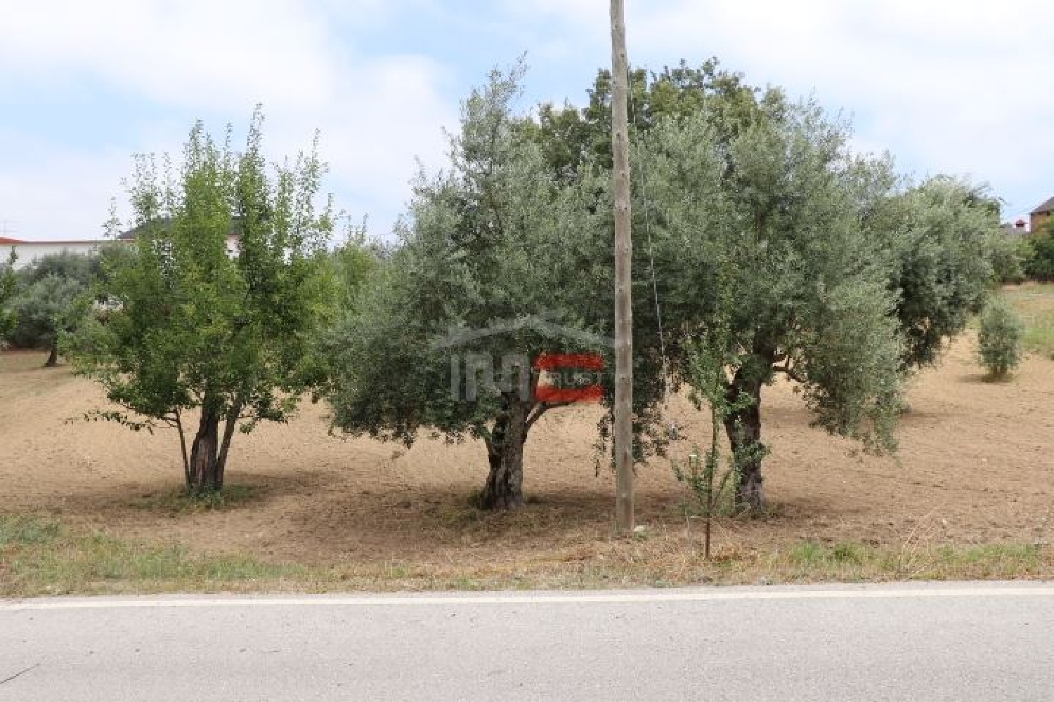 for sale terrain Seiça Ourém 3
